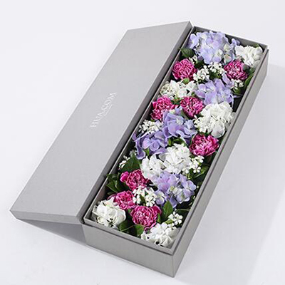 紫色白邊康乃馨8枝、白繡球1枝、藍紫色繡球1枝